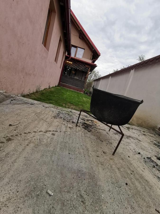 Vila De Vacanta Curtea de Argeş Eksteriør bilde